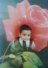 محمد رفعت الشعافى
