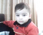 سامر محمد محمود
