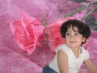 زينة محمد