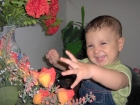 عماد ياسر عماد ديب