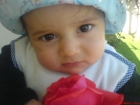 محمد محمد أبووردة