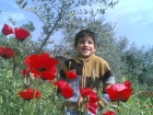 عمر باسم حمدان