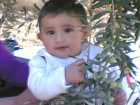 علي محمد باجي