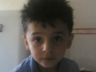 حمزه بشير فروانه