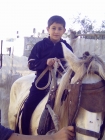 مجد احسان السلطان