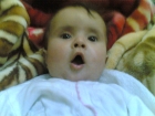 يــــــارا علــــــــيان