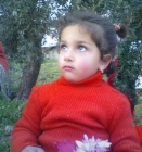 بلقيس داوود ابومويس