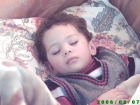 زيد مفيد حلمي الخليل