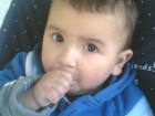 محمد اسامة محمد ابو عيشة