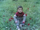 حسن خالد حسن العرجا