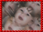 ميرا سلام لوبانى