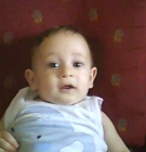 مصطفى أبو الخير