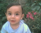 عمر حسن على الهباش