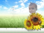 حنين سعيد طه