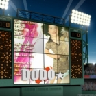 دينا نافز أبو شبيكة