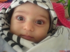 محمد محمد أبووردة