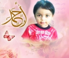 احمد سمير الحمامى