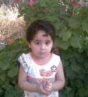 وسن ابو حجير