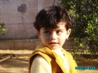 ملاك ماجد الشيخ