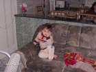 طارق سميح زحايكه