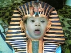 نبيل احمد حسن حمد
