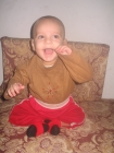 نضال سلامة