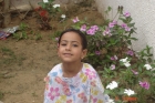 ريما حسن عبود