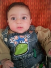 محمد محمد أبووردة