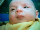 يونس  منير سعدى منيب المشهراوي