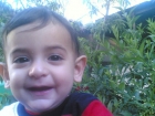 محمد إيهاب شاهين