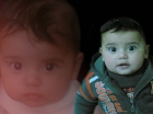 أحمد العطاف الدوش