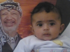 هانى ناصر