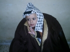 محمد امير الشريف