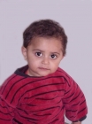 محمد سليم إكي