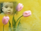 رجائي محمد أسعد جبارة
