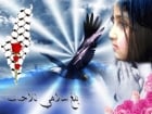 زين ماجد
