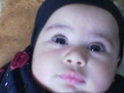 ملك محمد فاروق سعيد قنديل