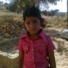 شهد تامر نافع شرقاوي