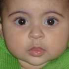 ملك احمد النمر