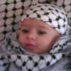 بسم محمد دحلان عاطف ابو عليان