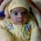 عماد الدين احمد ابو داوود