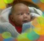 رزان سائد سميح فضة