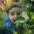 محمود فادي الجمل