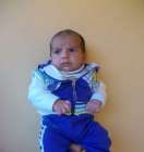 محمد لؤي النجار