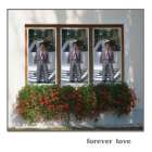 ابراهيم عصام الهندي