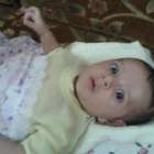 قصي محمد نوفل