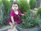اسماء محمد علي العقاد