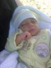 كريم احمد عيسى
