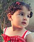 كنانة مسلم قباجة