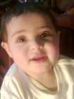 احمد محمد محمود النجار